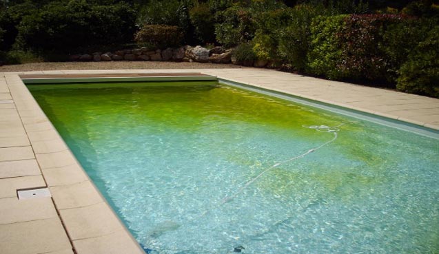 piscina con agua claradespues de limpieza de agua verde