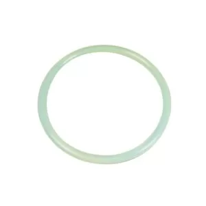 Junta tapa filtro Aster AstralPool